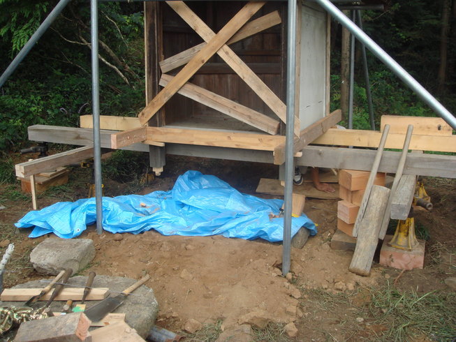 �{���Č����L