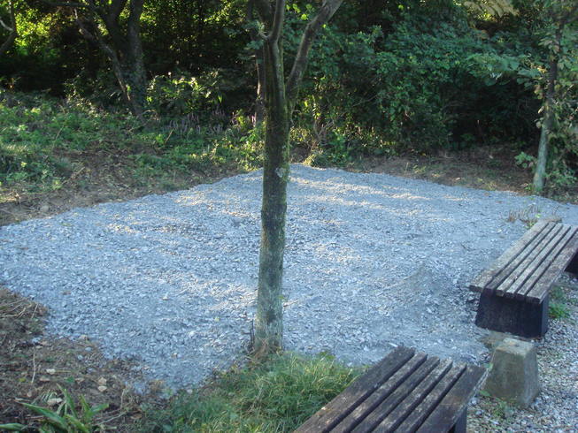 �{���Č����L