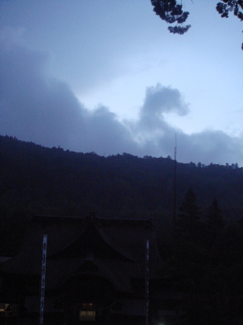 �{���Č����L