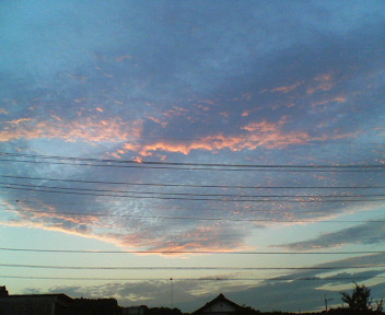 �{���Č����L