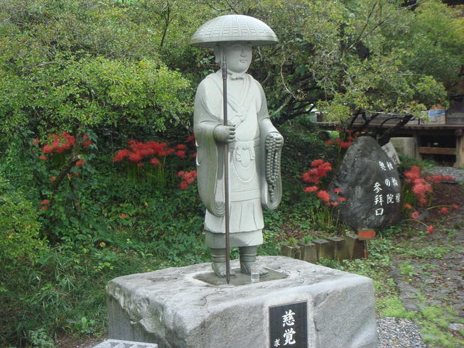 �{���Č����L