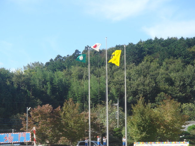 �{���Č����L