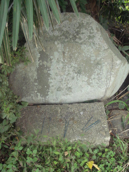 �{���Č����L