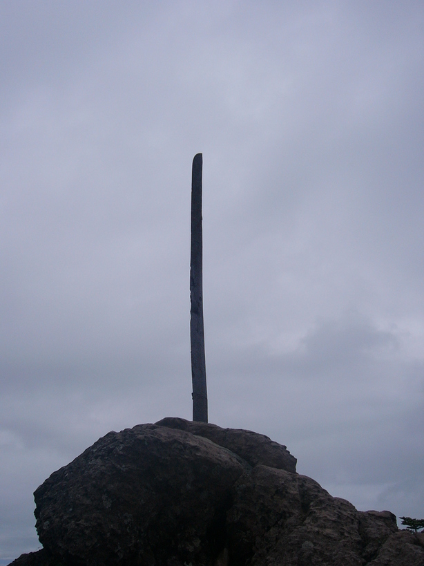 �{���Č����L