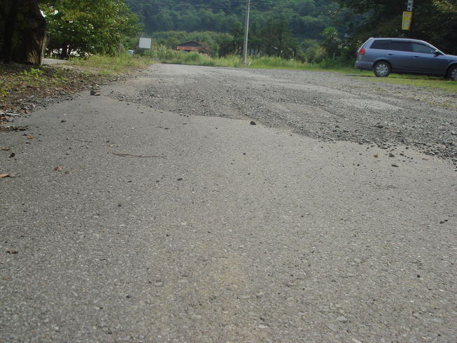 �{���Č����L