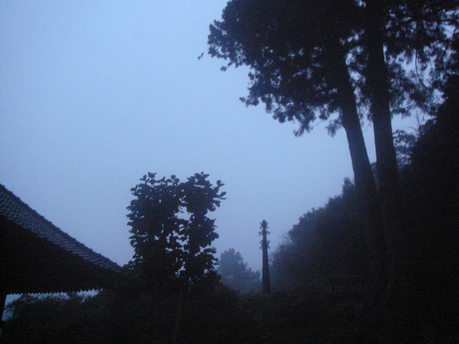 �{���Č����L