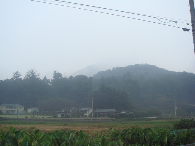 �{���Č����L