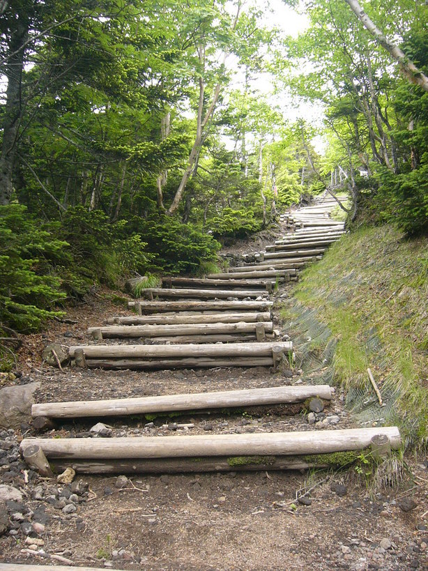 �{���Č����L