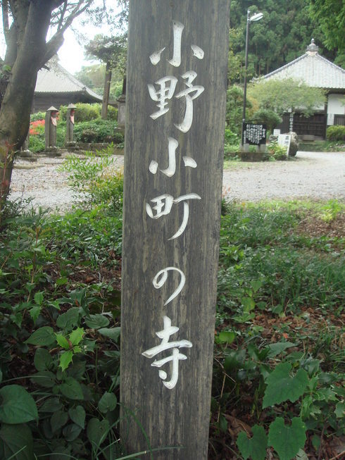 �{���Č����L