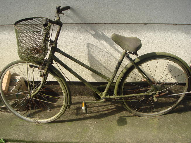 �{���Č����L