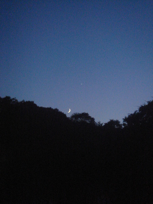 �{���Č����L