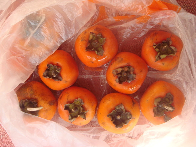 �{���Č����L