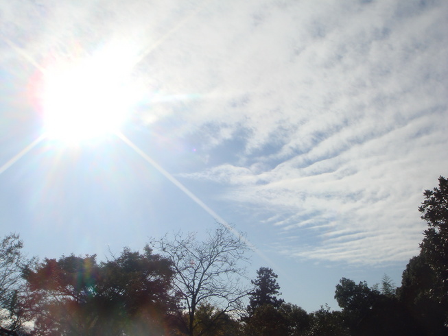 �{���Č����L