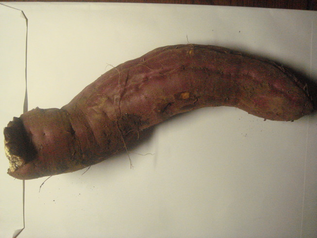 �{���Č����L