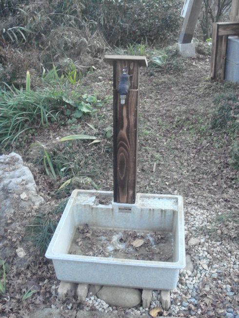 �{���Č����L