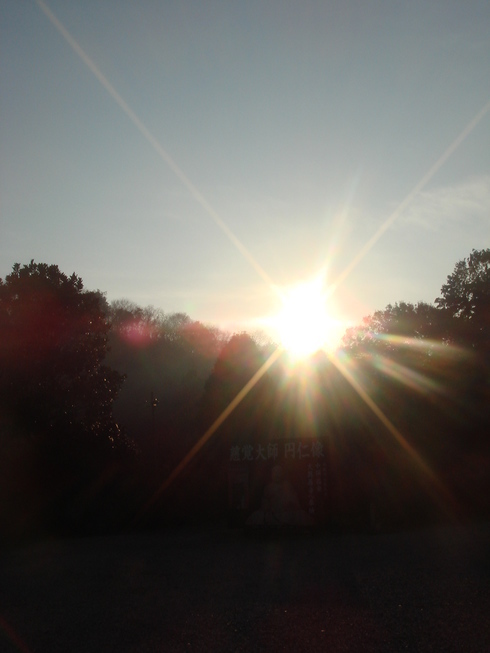 �{���Č����L