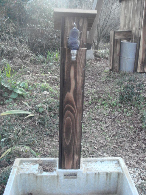 �{���Č����L