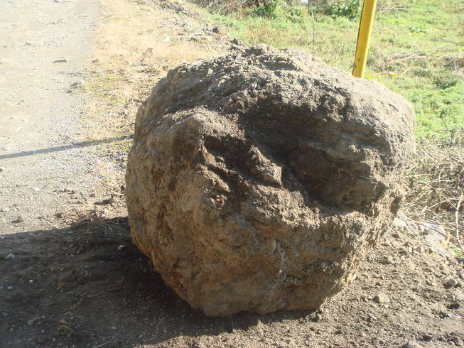 �{���Č����L