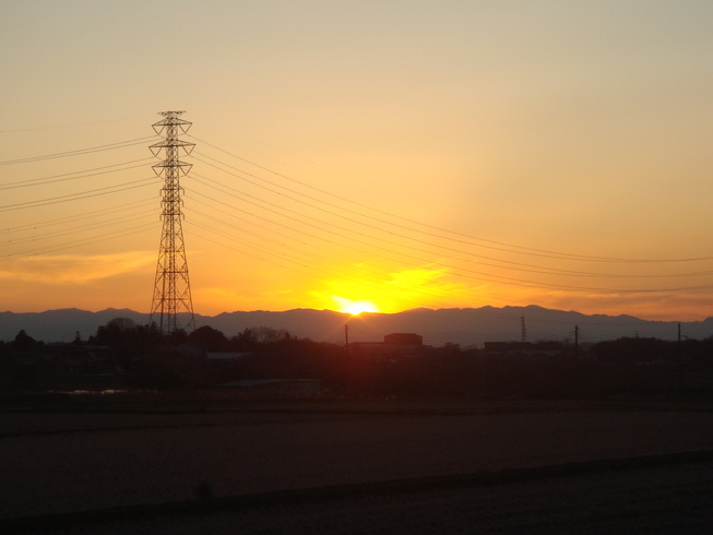 �{���Č����L