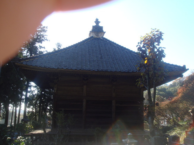 �{���Č����L