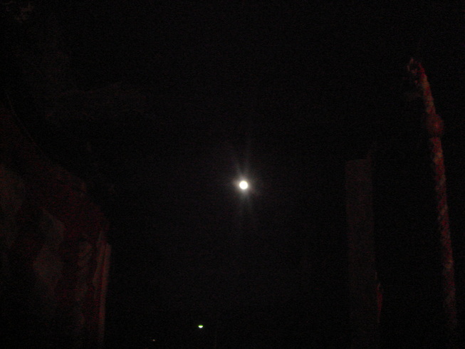 �{���Č����L