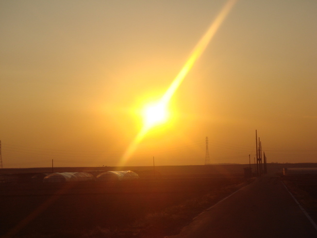 �{���Č����L