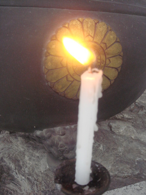 �{���Č����L