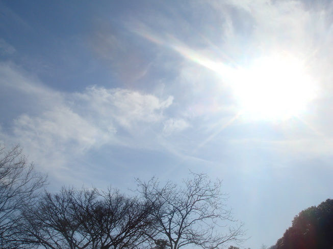 �{���Č����L