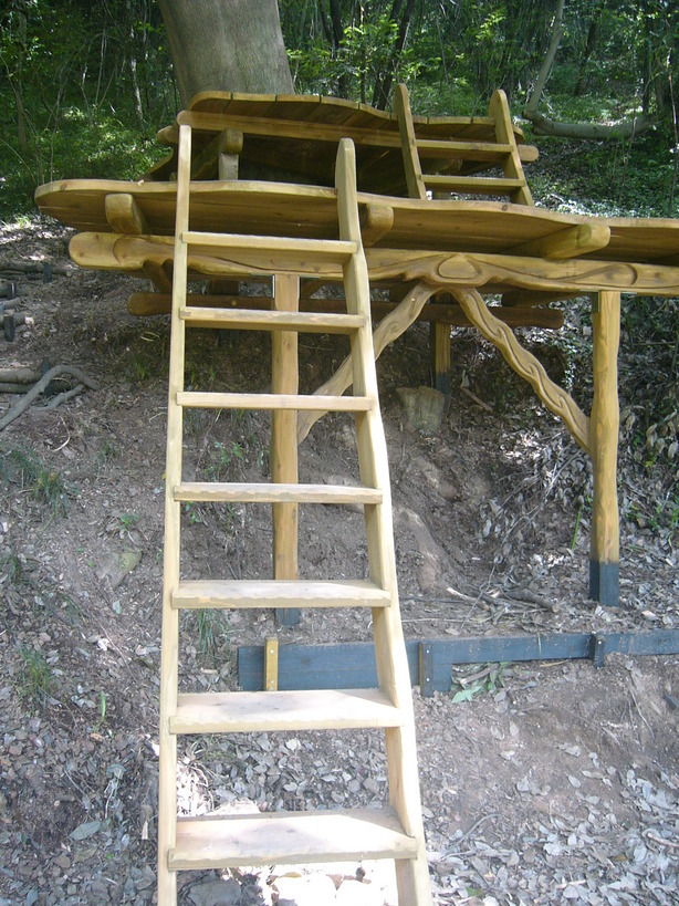 �{���Č����L