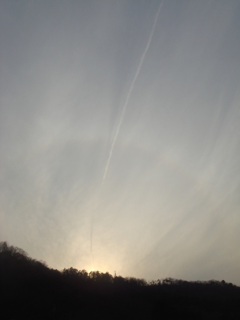 �{���Č����L