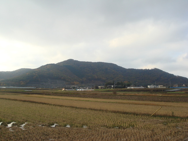 �{���Č����L