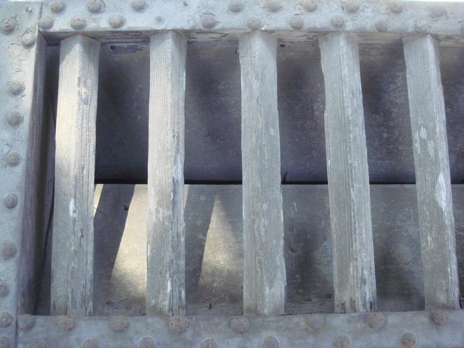 �{���Č����L