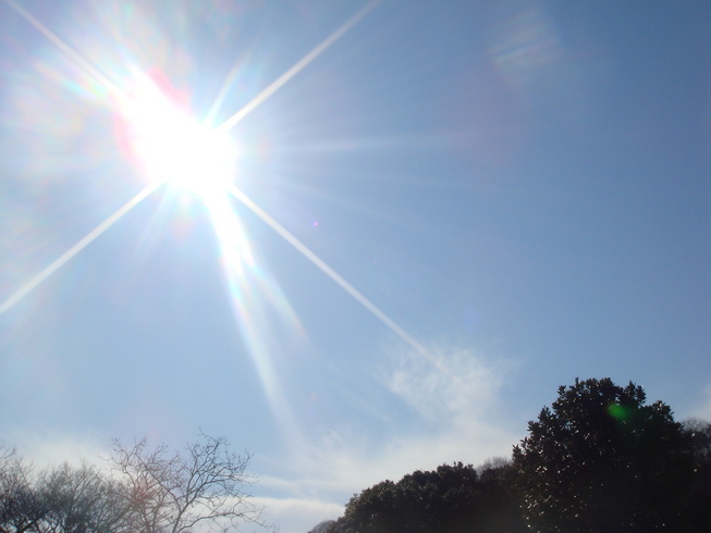 �{���Č����L