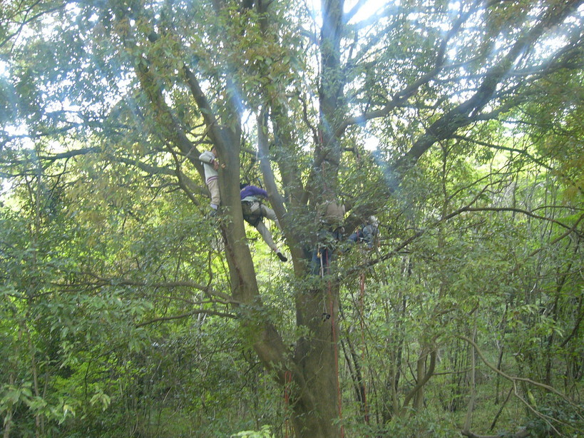 �{���Č����L