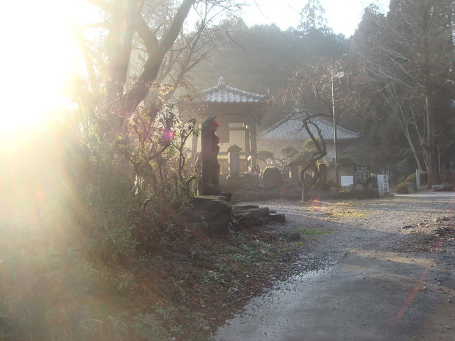 �{���Č����L