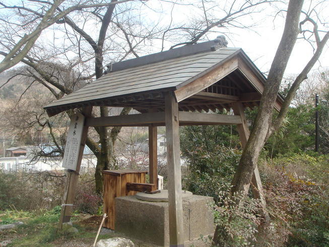 �{���Č����L