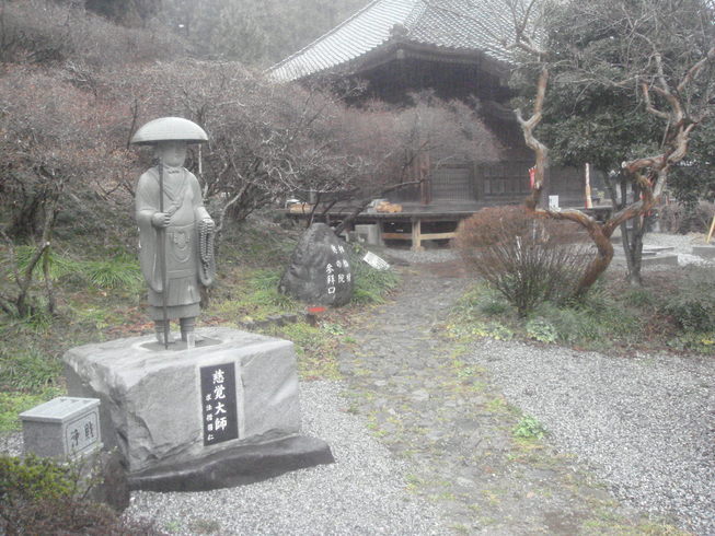 �{���Č����L