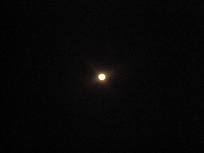 �{���Č����L