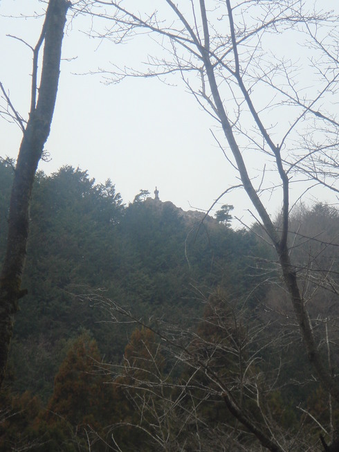 �{���Č����L