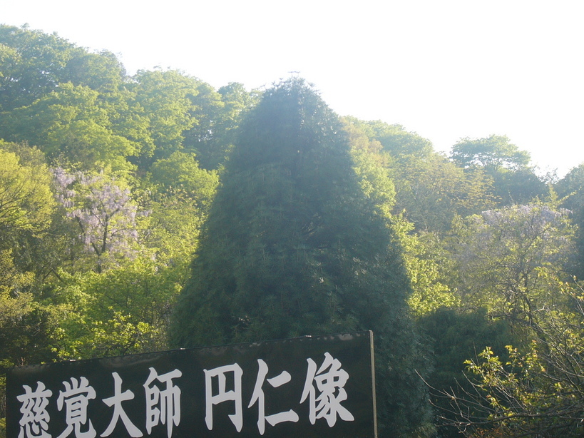 �{���Č����L