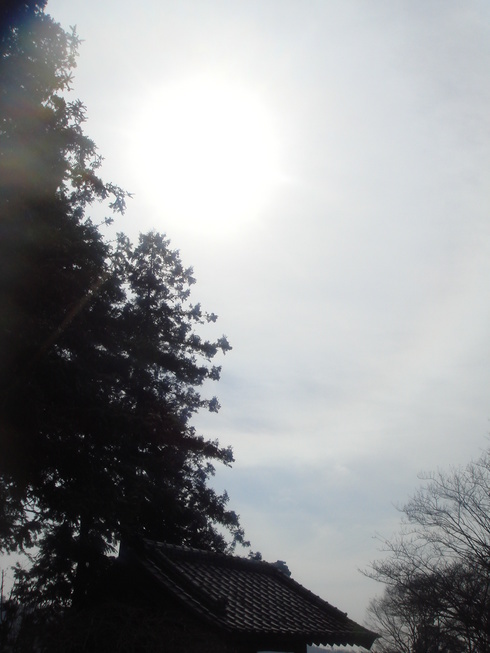 �{���Č����L