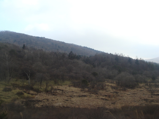 �{���Č����L