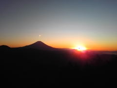 �{���Č����L