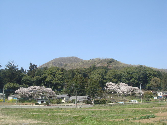 �{���Č����L