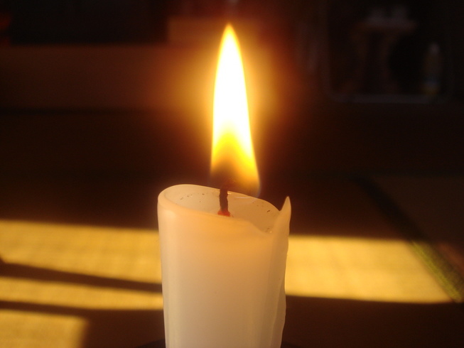 �{���Č����L