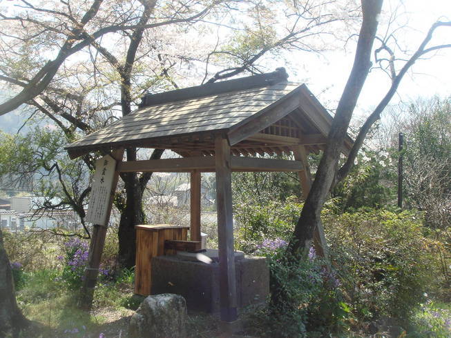 �{���Č����L