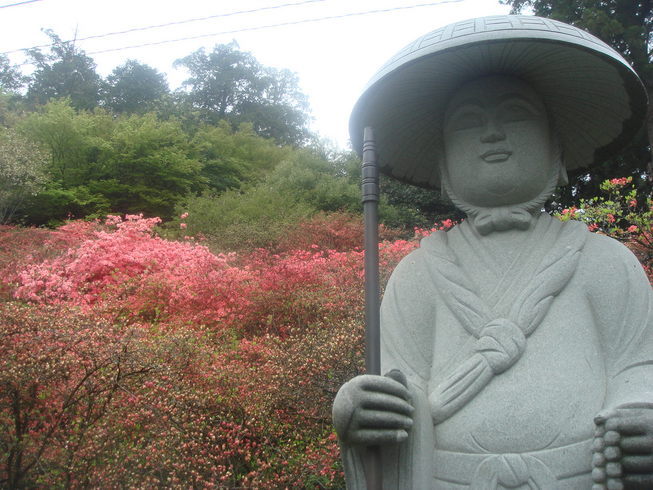 �{���Č����L