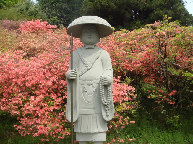 �{���Č����L