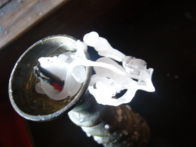 �{���Č����L