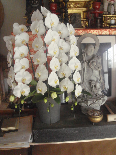 �{���Č����L